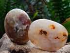 Polished Flower Agate Palm Stones x 16 From Antsahalova, Madagascar - Toprock Gemstones and Minerals 