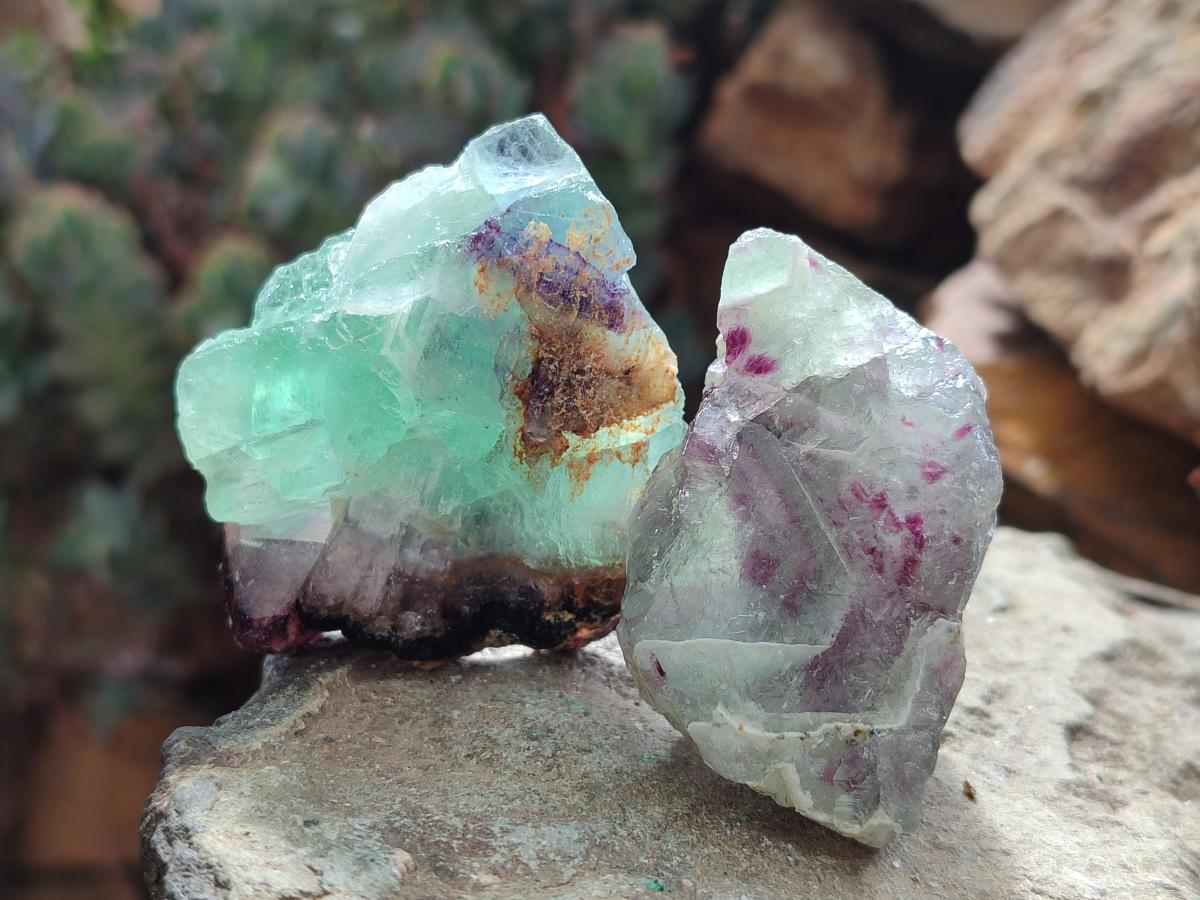Natural Watermelon Fluorite Cobbed Specimens x 35 From Uis, Namibia