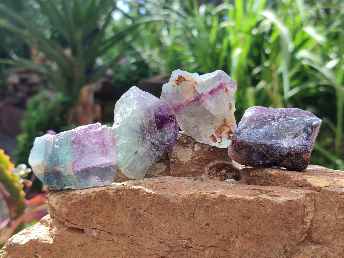 Natural Watermelon Fluorite Cobbed Specimens x 35 From Uis, Namibia