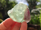 Natural Watermelon Fluorite Cobbed Specimens x 35 From Uis, Namibia
