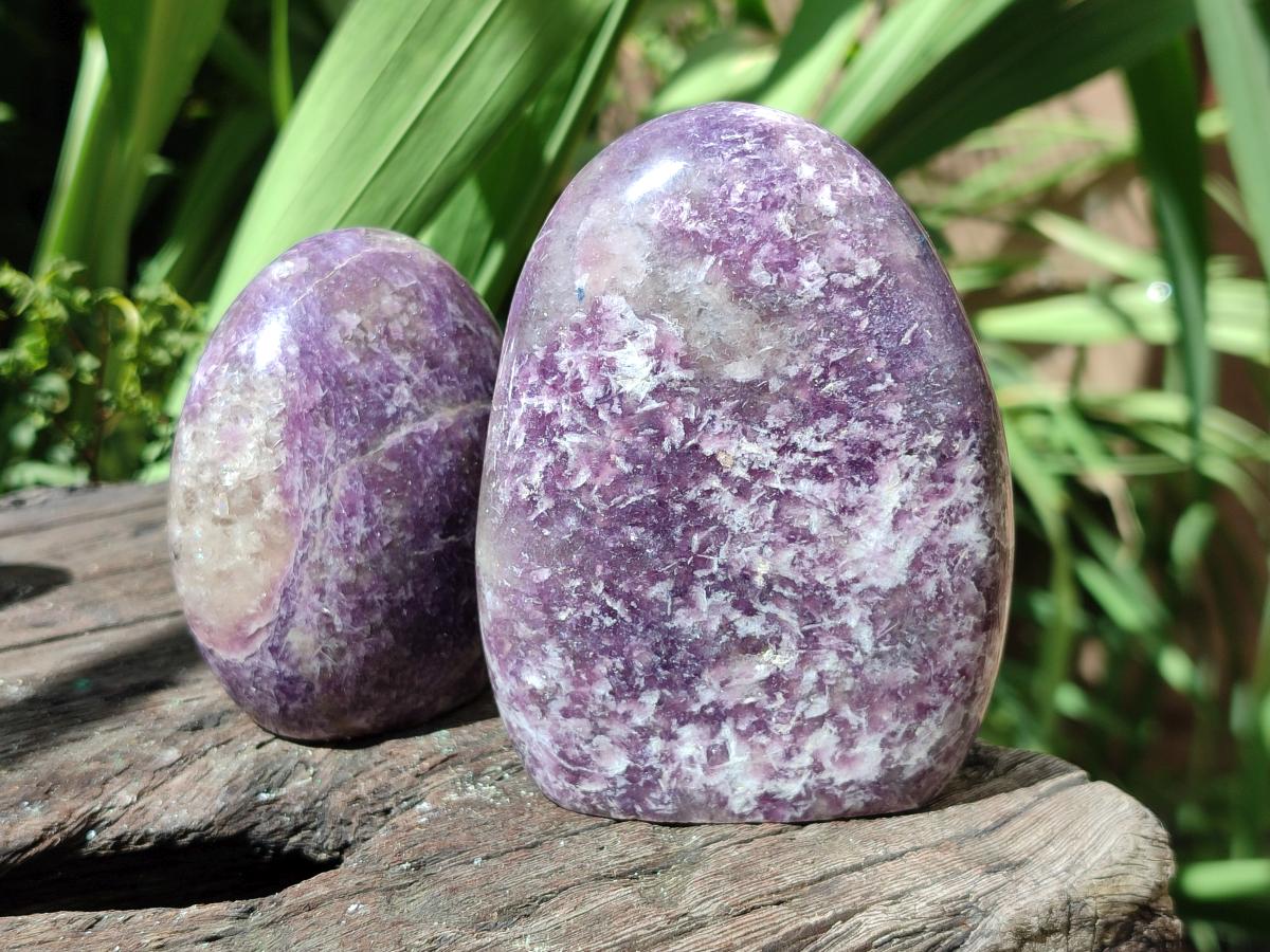 Polished Lepidolite Standing Free Forms x 4 From Ambatondrazaka, Madagascar