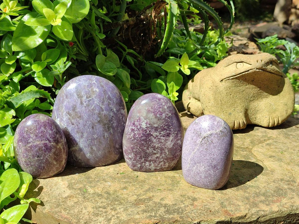 Polished Lepidolite Standing Free Forms x 4 From Ambatondrazaka, Madagascar