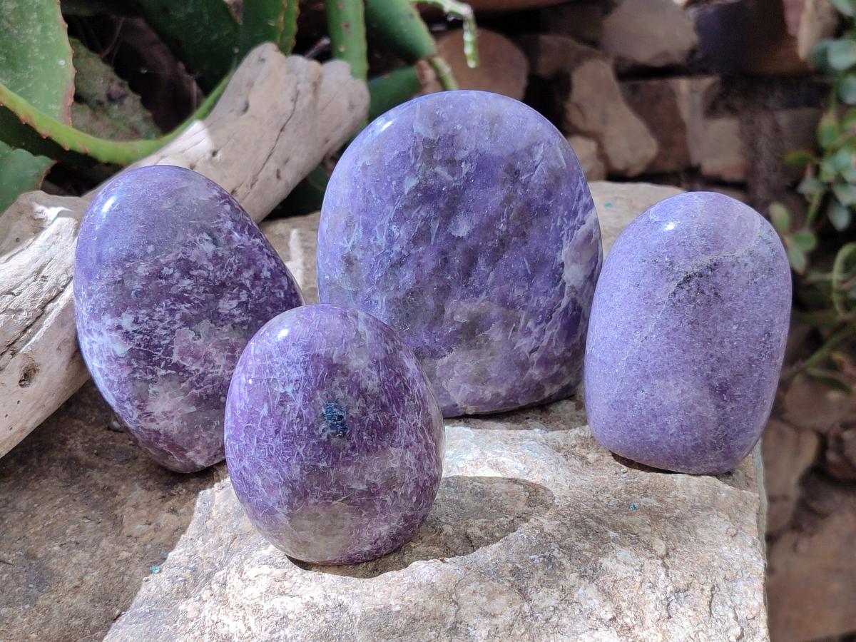 Polished Lepidolite Standing Free Forms x 4 From Ambatondrazaka, Madagascar