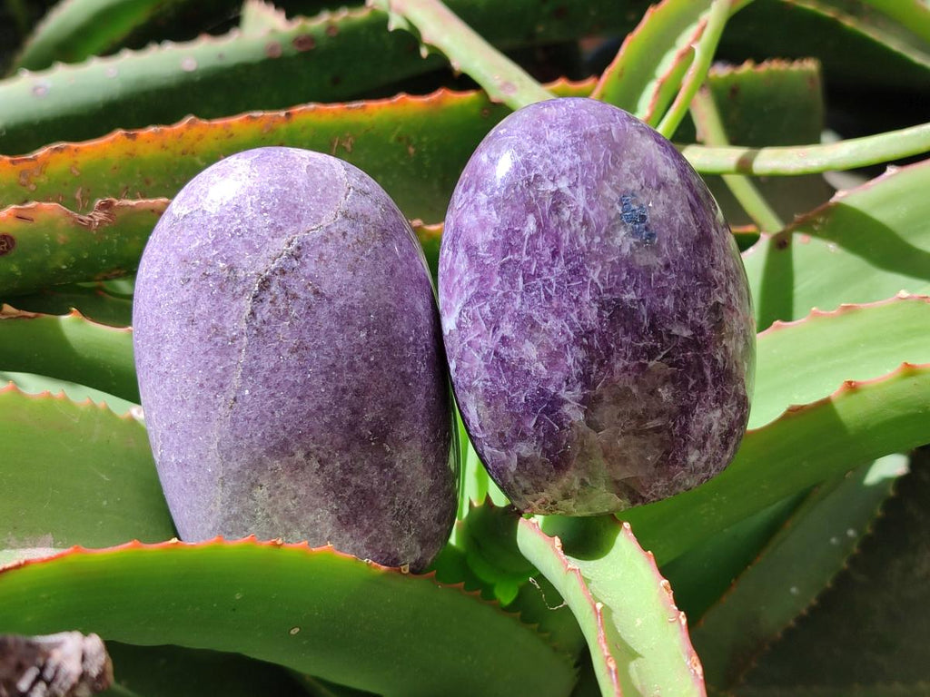Polished Lepidolite Standing Free Forms x 4 From Ambatondrazaka, Madagascar