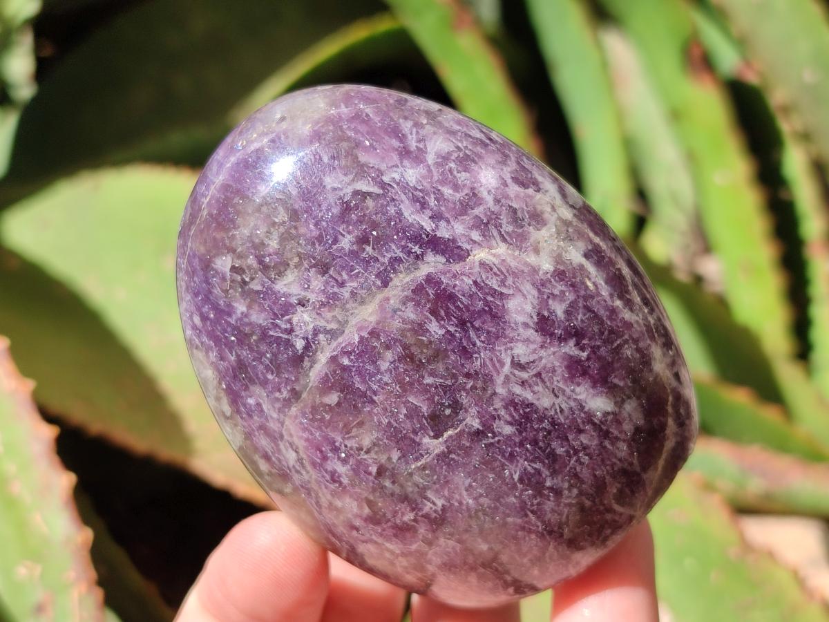 Polished Lepidolite Standing Free Forms x 4 From Ambatondrazaka, Madagascar