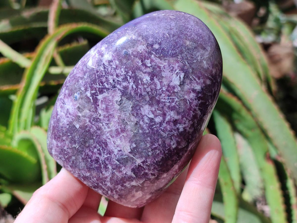 Polished Lepidolite Standing Free Forms x 4 From Ambatondrazaka, Madagascar