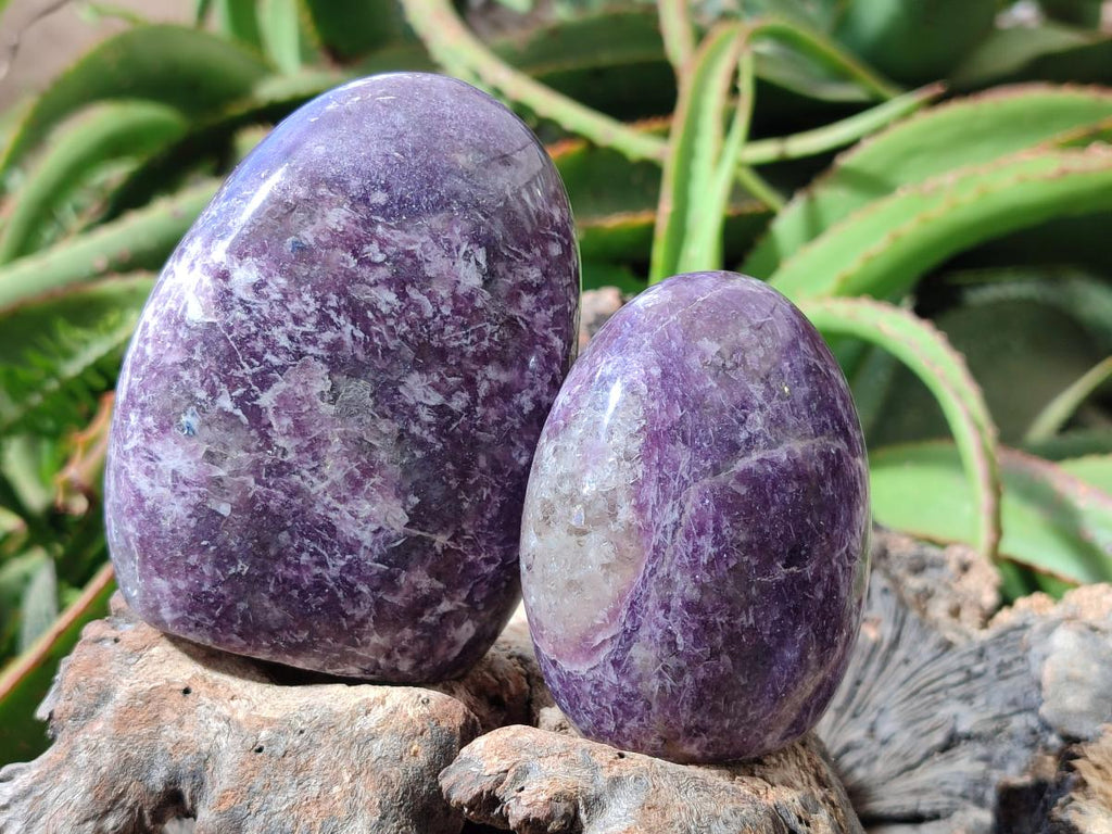 Polished Lepidolite Standing Free Forms x 4 From Ambatondrazaka, Madagascar