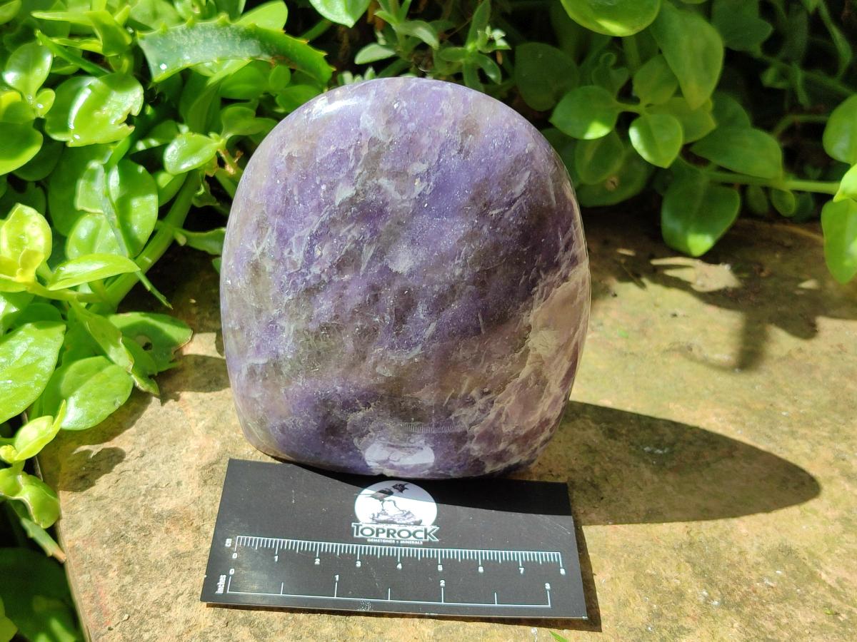 Polished Lepidolite Standing Free Forms x 4 From Ambatondrazaka, Madagascar
