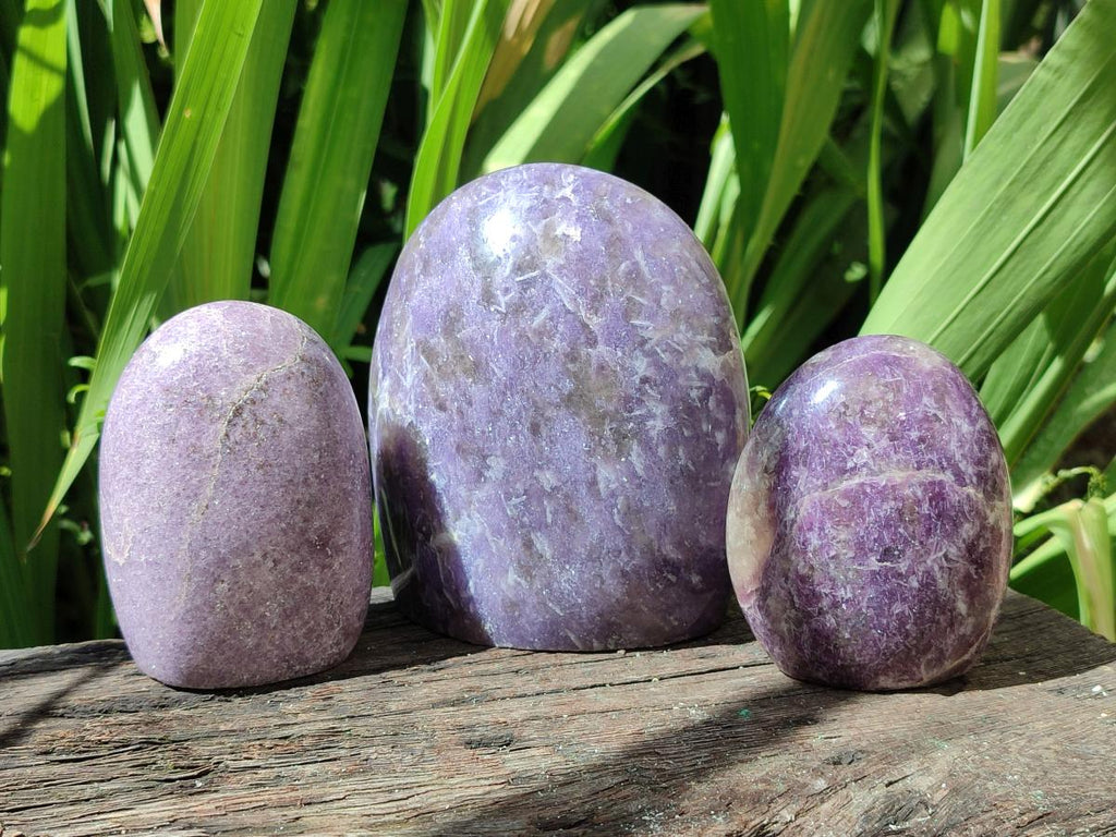Polished Lepidolite Standing Free Forms x 4 From Ambatondrazaka, Madagascar