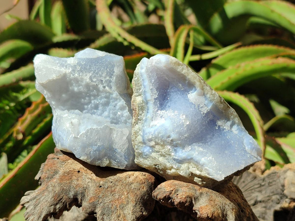 Natural Blue Lace Agate Geode Specimens x 6 From Nsanje, Malawi