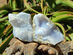 Natural Blue Lace Agate Geode Specimens x 6 From Nsanje, Malawi