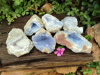 Natural Blue Lace Agate Geode Specimens x 6 From Nsanje, Malawi