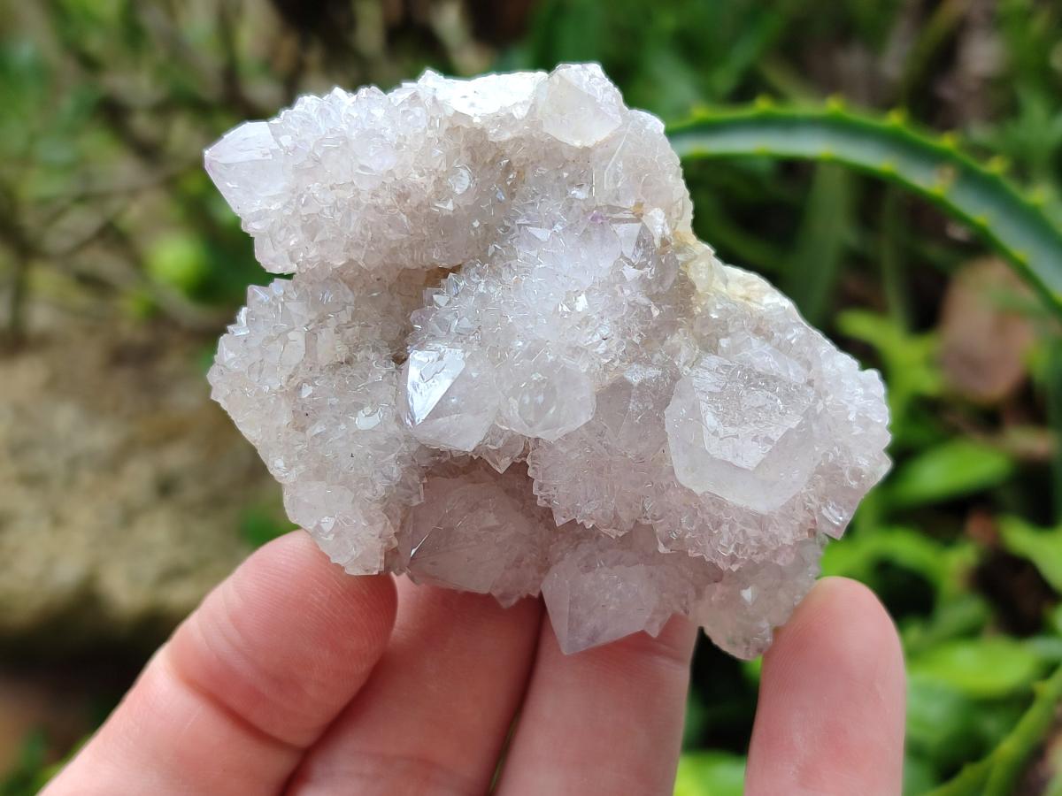Natural Amethyst Spirit Clusters x 12 From Boekenhouthoek, South Africa
