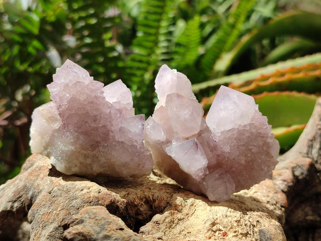 Natural Amethyst Spirit Clusters x 12 From Boekenhouthoek, South Africa