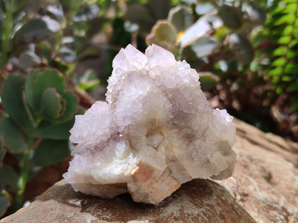 Natural Amethyst Spirit Clusters x 12 From Boekenhouthoek, South Africa