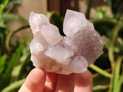 Natural Amethyst Spirit Clusters x 12 From Boekenhouthoek, South Africa
