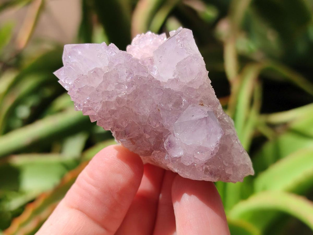Natural Amethyst Spirit Clusters x 12 From Boekenhouthoek, South Africa