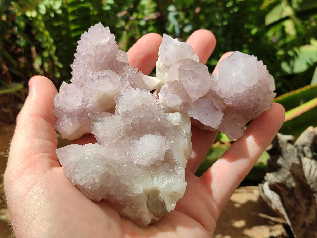 Natural Amethyst Spirit Clusters x 12 From Boekenhouthoek, South Africa