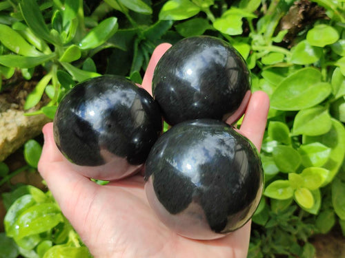 Polished Black Basalt Spheres x 3 From Madagascar