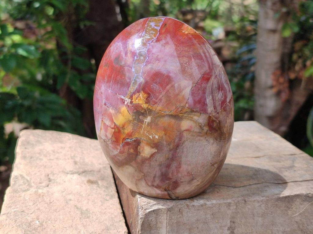 Polished Large Red Podocarpus Petrified Wood Standing Free Form x 1 From Mahajanga, Madagascar