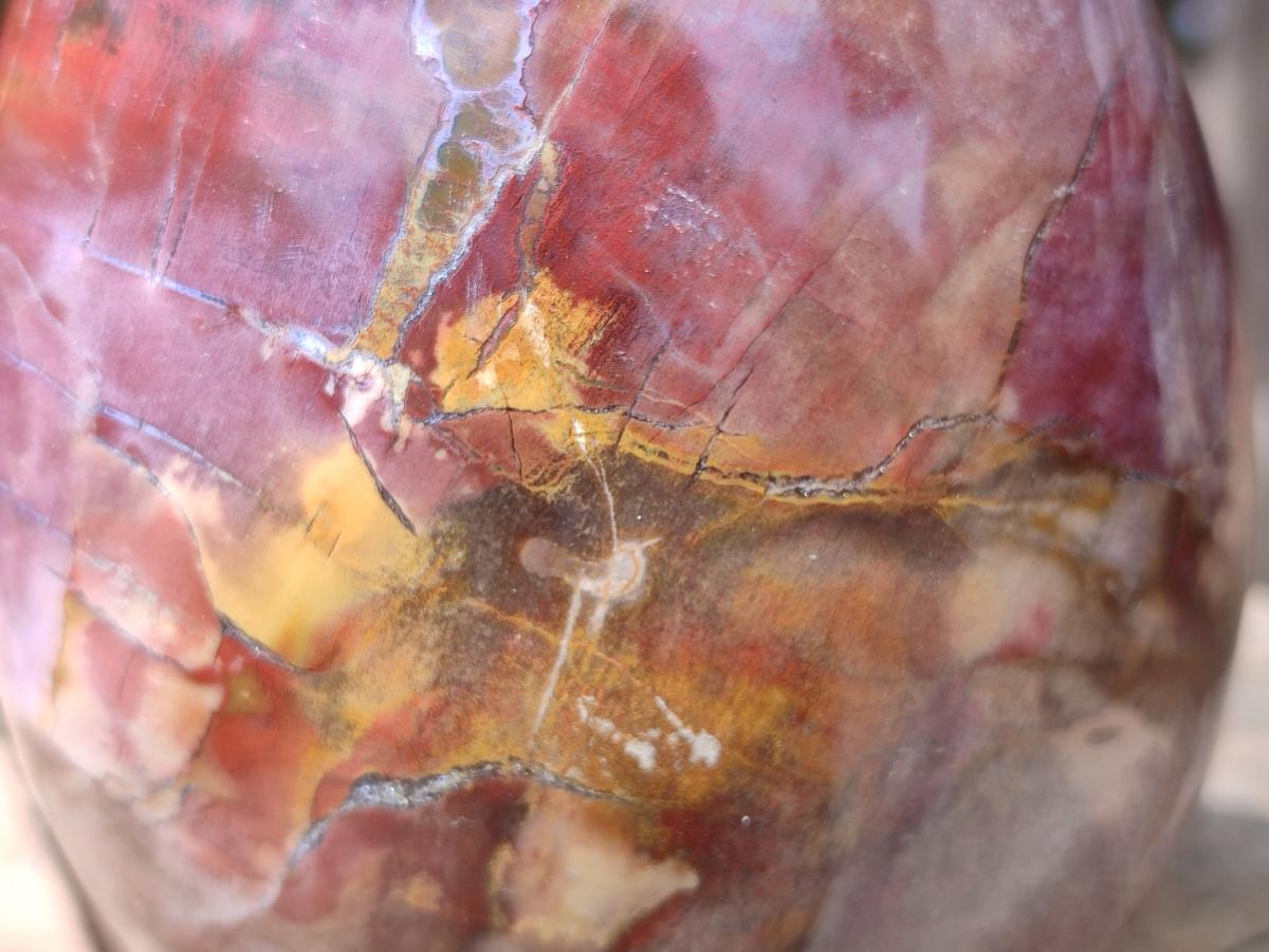 Polished Large Red Podocarpus Petrified Wood Standing Free Form x 1 From Mahajanga, Madagascar