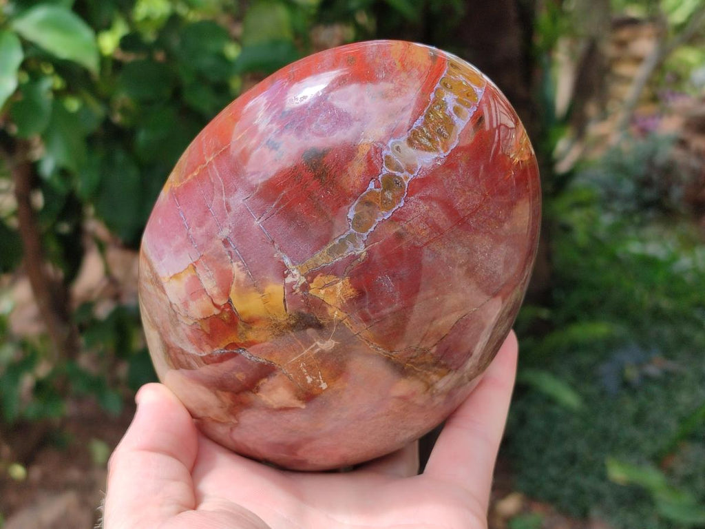 Polished Large Red Podocarpus Petrified Wood Standing Free Form x 1 From Mahajanga, Madagascar