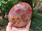 Polished Large Red Podocarpus Petrified Wood Standing Free Form x 1 From Mahajanga, Madagascar