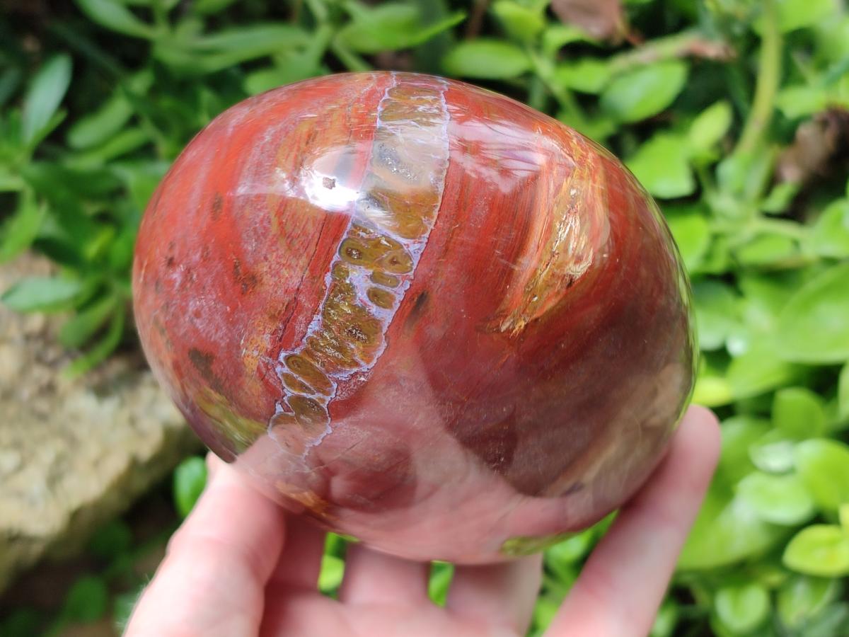 Polished Large Red Podocarpus Petrified Wood Standing Free Form x 1 From Mahajanga, Madagascar
