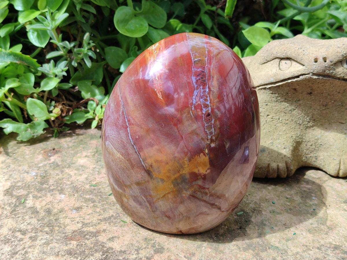 Polished Large Red Podocarpus Petrified Wood Standing Free Form x 1 From Mahajanga, Madagascar