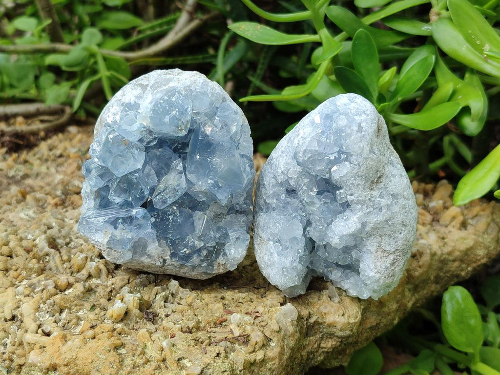 Natural Blue Celestite Specimens x 6 From Sakoany, Madagascar