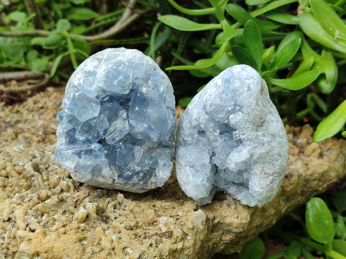 Natural Blue Celestite Specimens x 6 From Sakoany, Madagascar