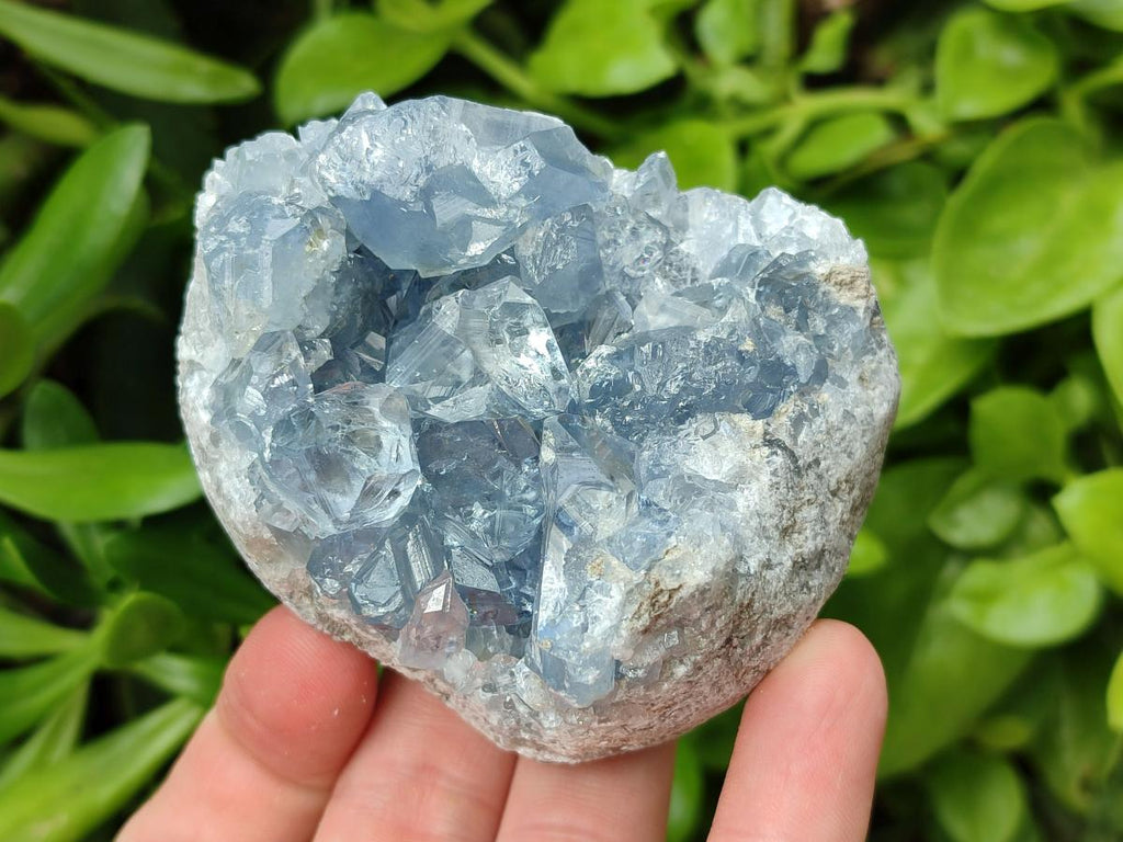 Natural Blue Celestite Specimens x 6 From Sakoany, Madagascar