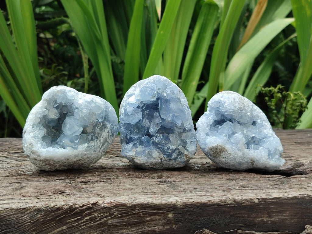 Natural Blue Celestite Specimens x 6 From Sakoany, Madagascar