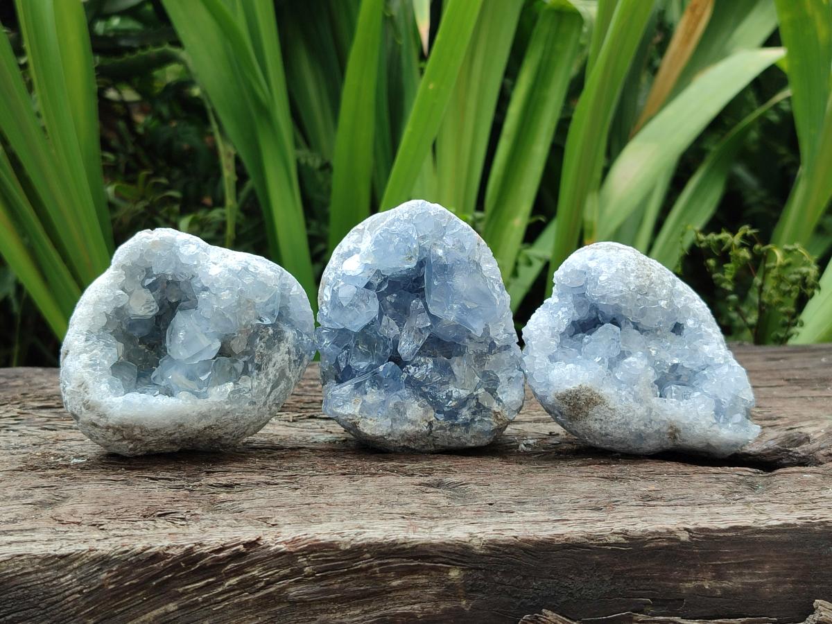 Natural Blue Celestite Specimens x 6 From Sakoany, Madagascar