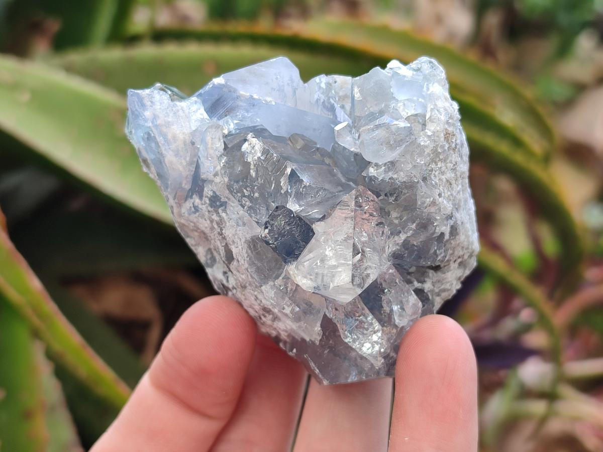 Natural Blue Celestite Specimens x 6 From Sakoany, Madagascar