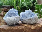Natural Blue Celestite Specimens x 6 From Sakoany, Madagascar
