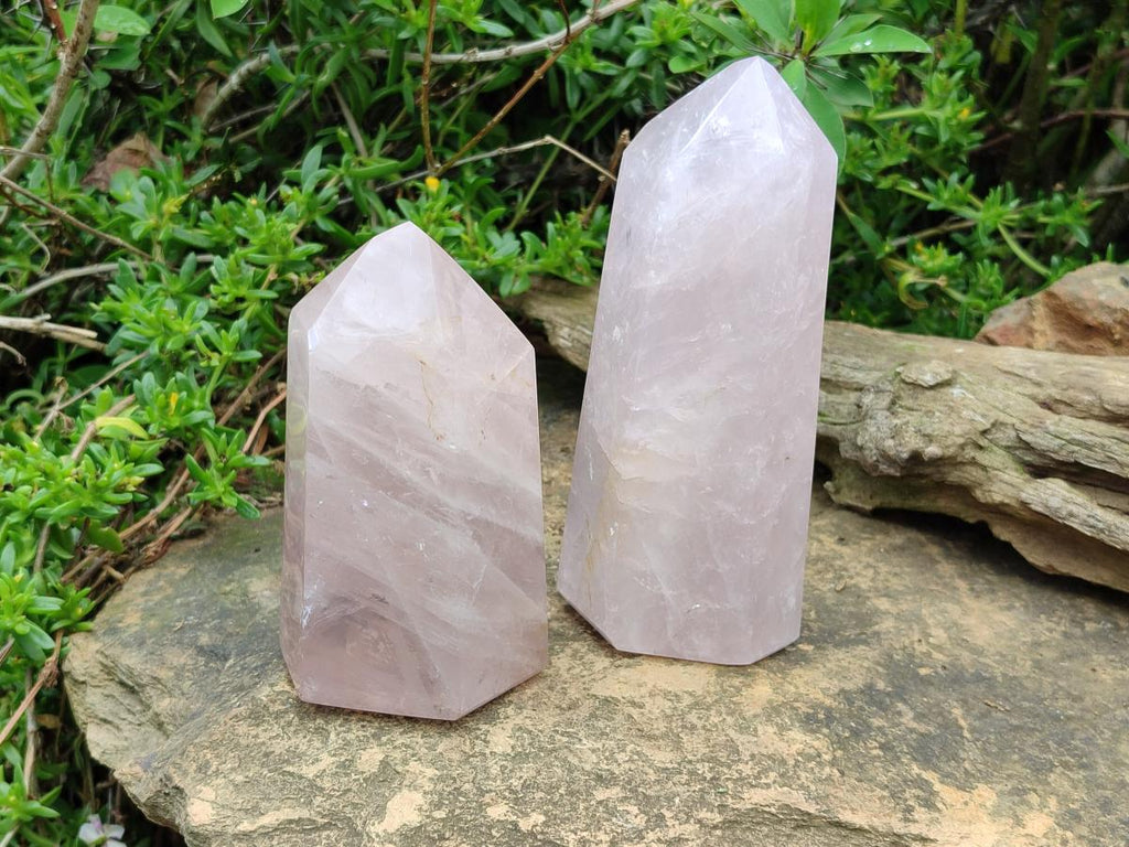 Polished Gemmy Rose Quartz Crystals x 2 From Madagascar