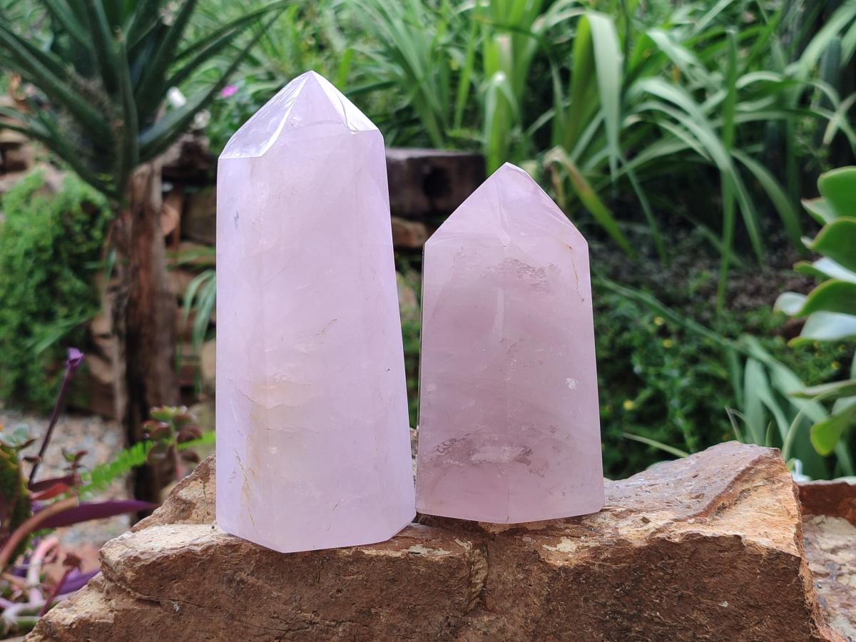 Polished Gemmy Rose Quartz Crystals x 2 From Madagascar