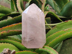 Polished Gemmy Rose Quartz Crystals x 2 From Madagascar