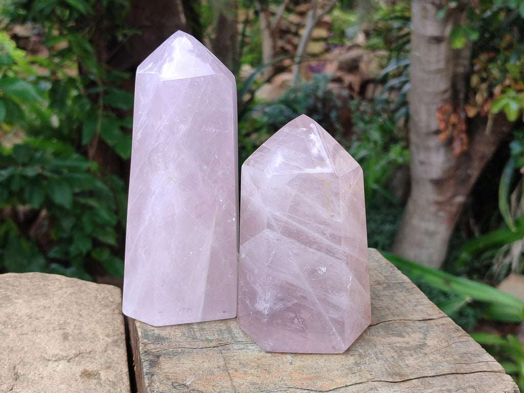 Polished Gemmy Rose Quartz Crystals x 2 From Madagascar