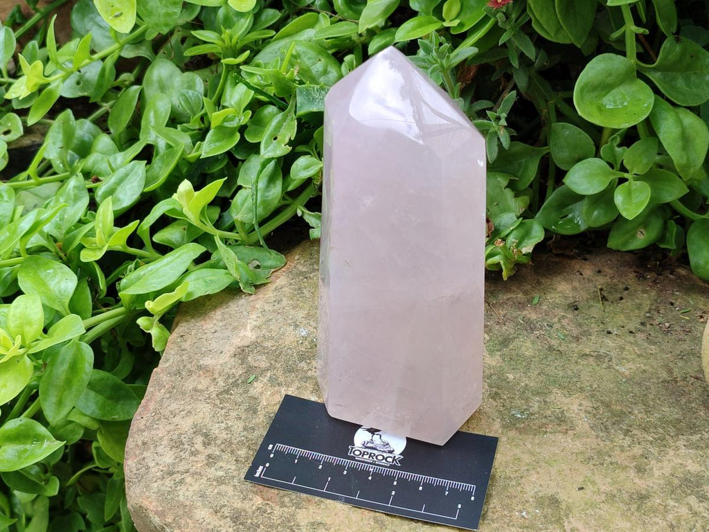 Polished Gemmy Rose Quartz Crystals x 2 From Madagascar