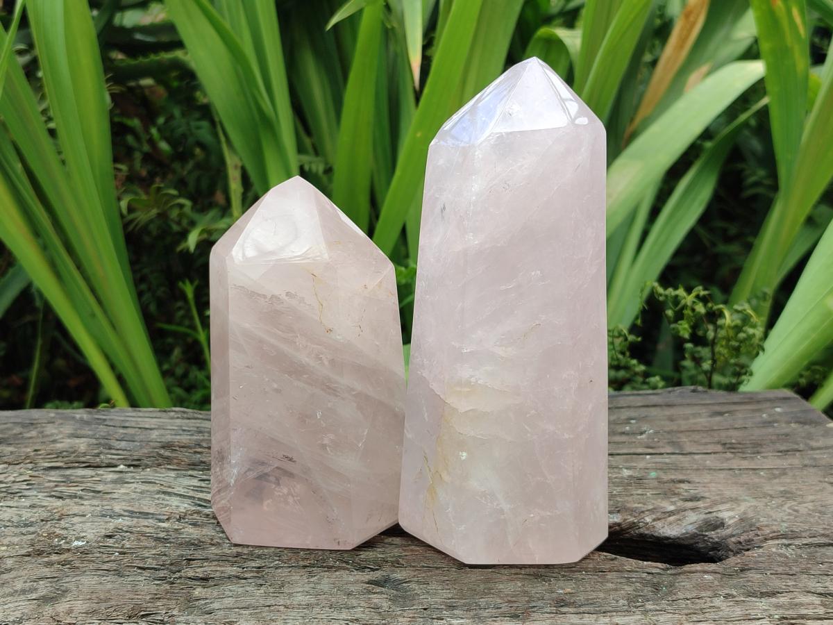 Polished Gemmy Rose Quartz Crystals x 2 From Madagascar
