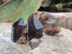 Natural Morion Smokey Quartz Crystals x 20 From Zomba Plateau, Malawi