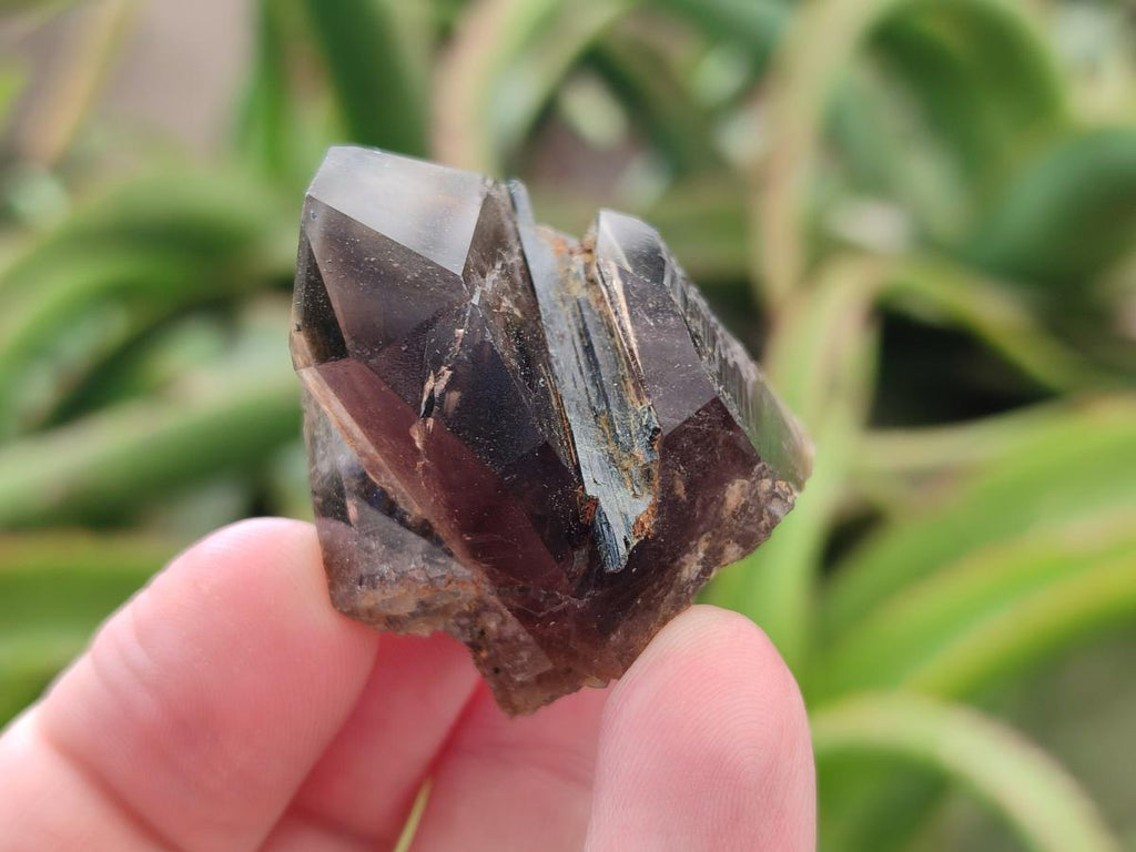 Natural Morion Smokey Quartz Crystals x 20 From Zomba Plateau, Malawi
