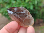 Natural Morion Smokey Quartz Crystals x 20 From Zomba Plateau, Malawi