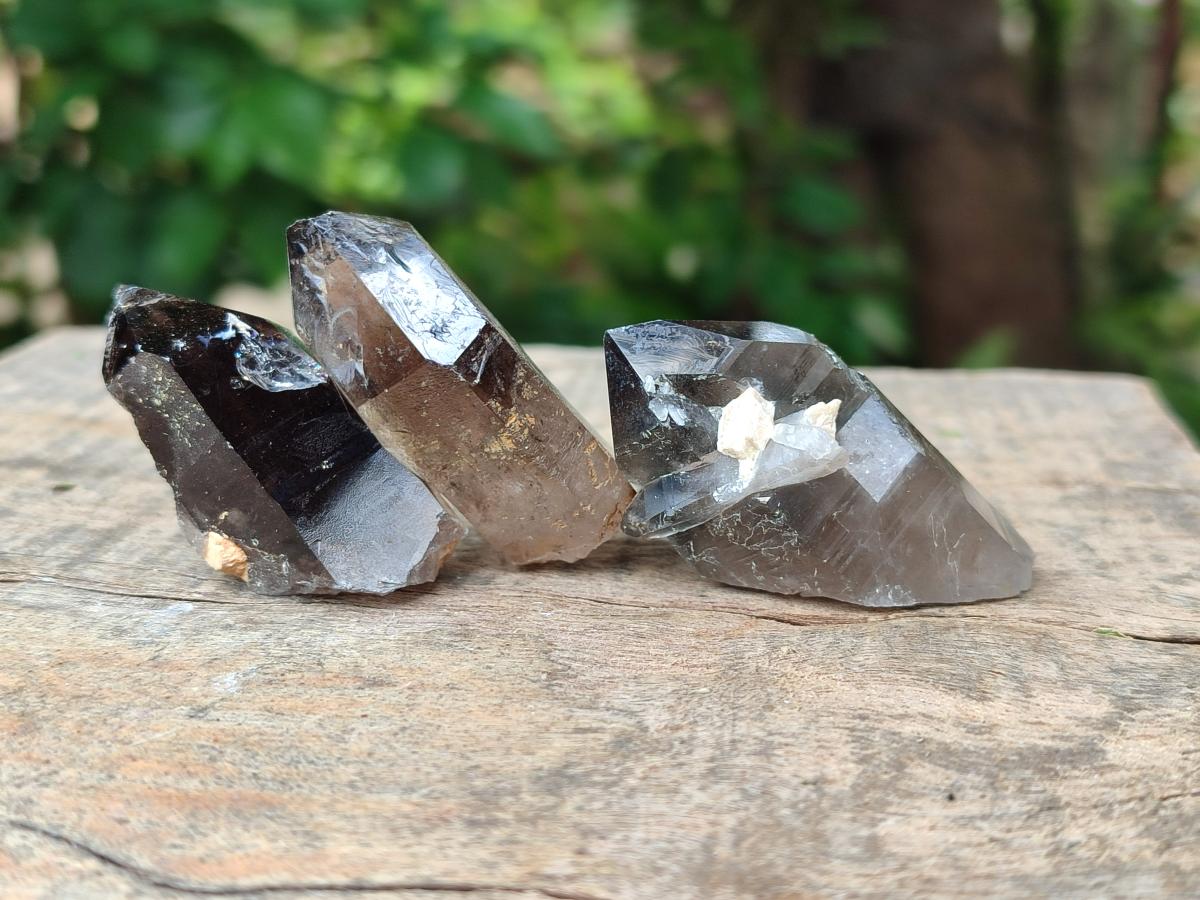 Natural Morion Smokey Quartz Crystals x 20 From Zomba Plateau, Malawi