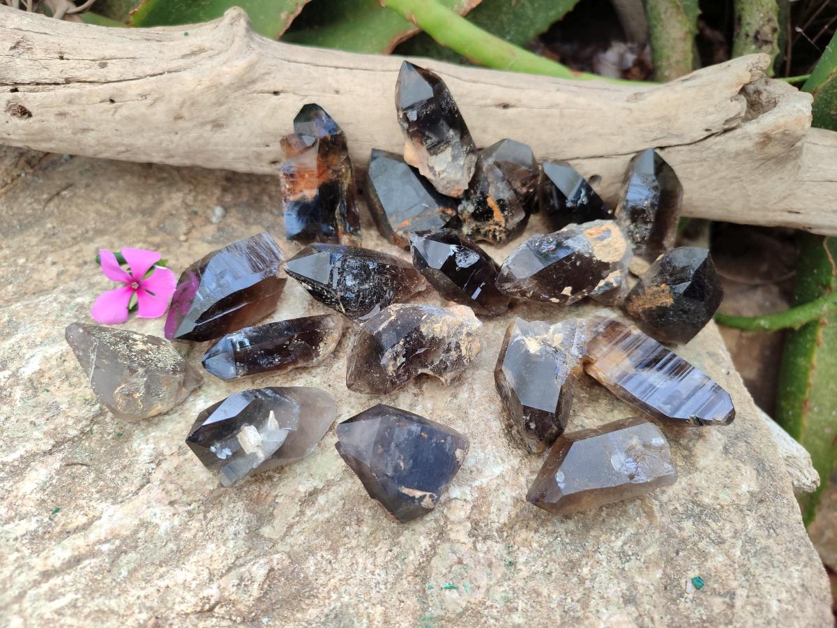Natural Morion Smokey Quartz Crystals x 20 From Zomba Plateau, Malawi