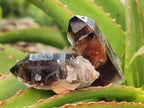 Natural Morion Smokey Quartz Crystals x 20 From Zomba Plateau, Malawi