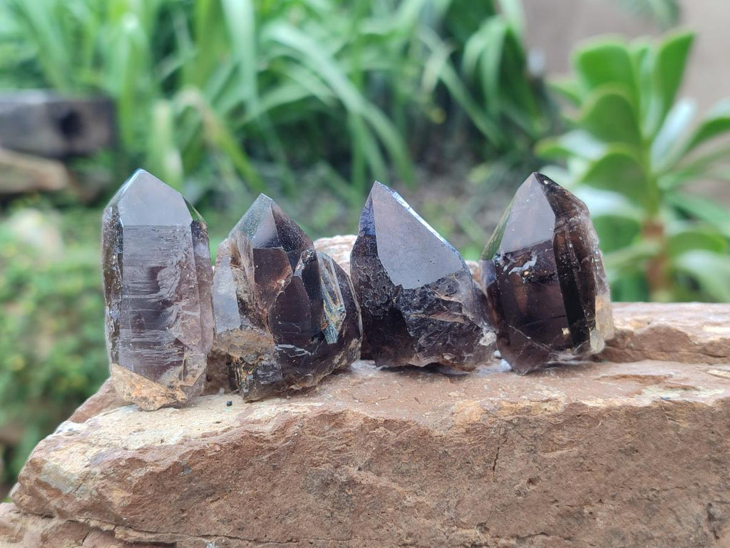 Natural Morion Smokey Quartz Crystals x 20 From Zomba Plateau, Malawi