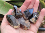 Natural Morion Smokey Quartz Crystals x 20 From Zomba Plateau, Malawi